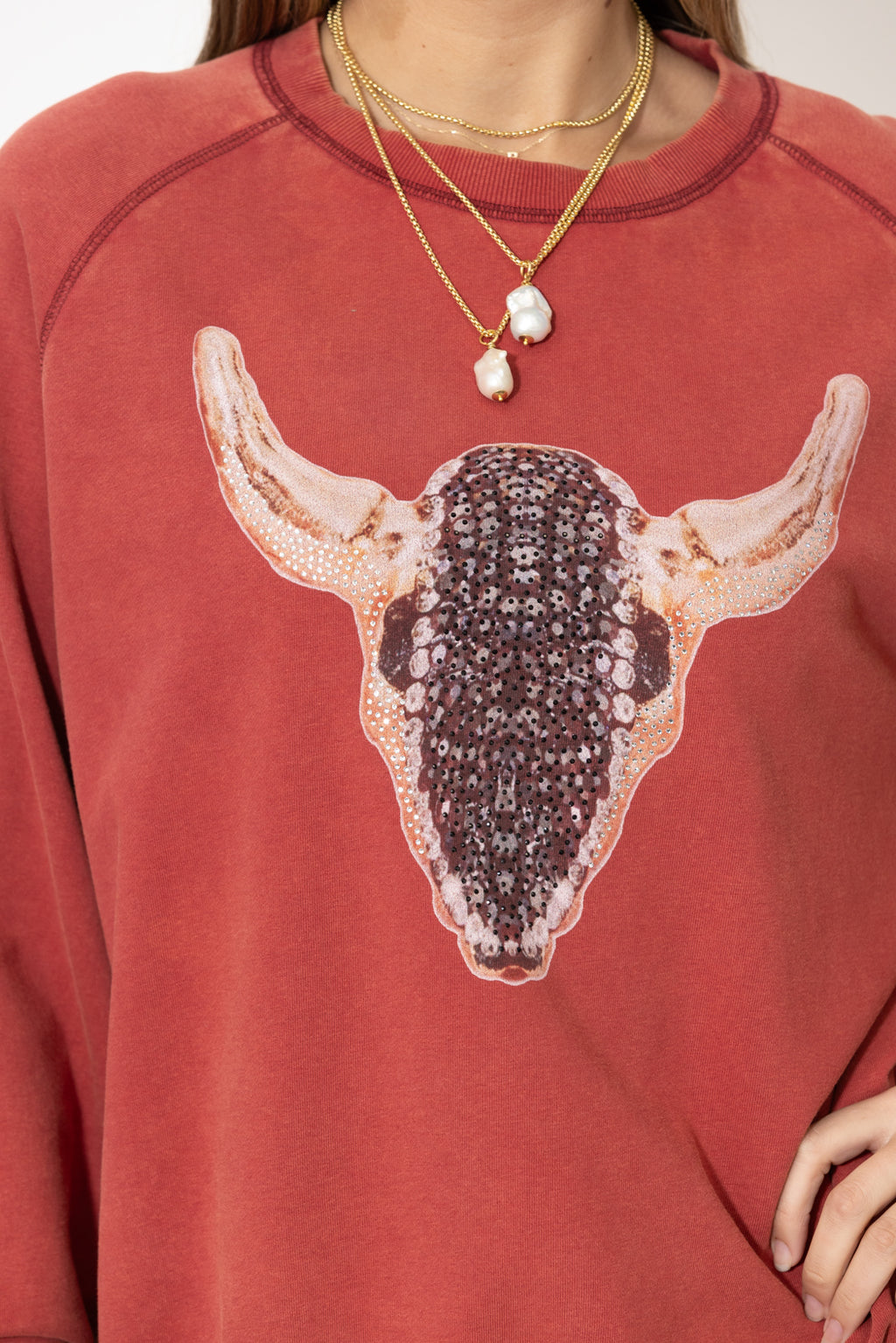 Red Washed Cotton Horns Jumper