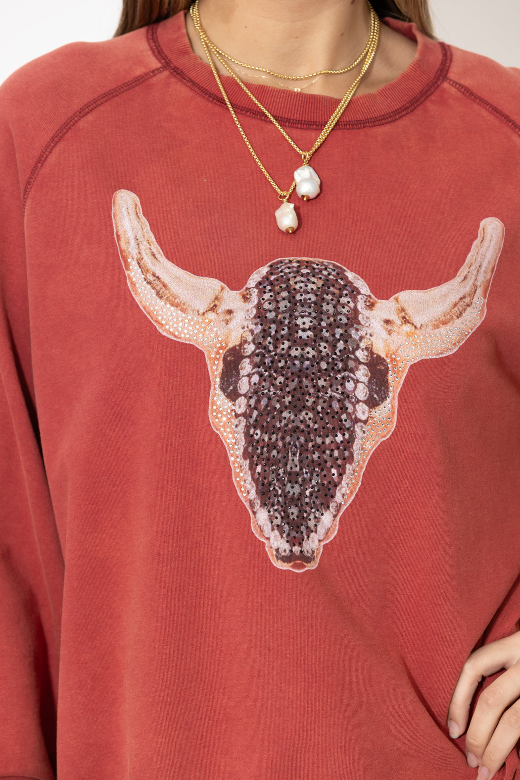 Red Washed Cotton Horns Jumper