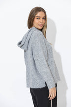 Grey Top Dog Hooded Jumper