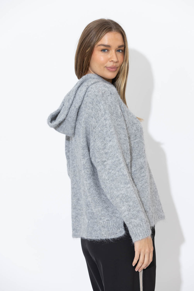 Grey Top Dog Hooded Jumper