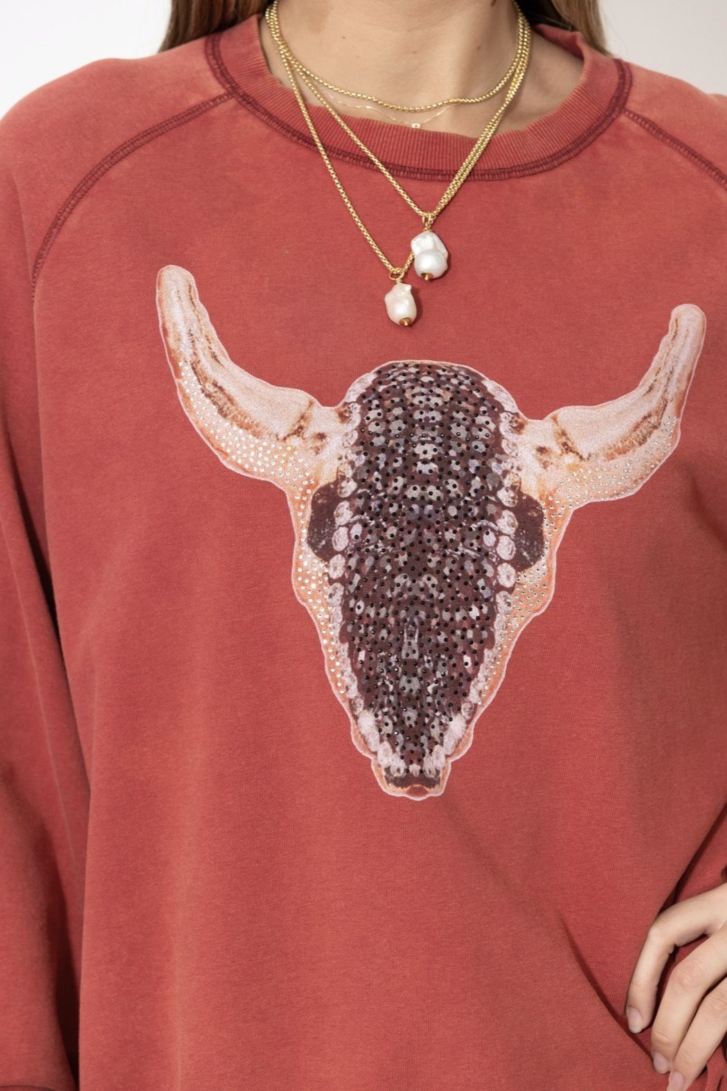 Red Washed Cotton Horns Jumper