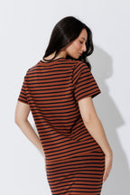 Tan/Navy Crew Stripe T-Shirt