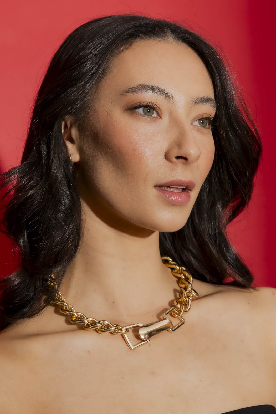 Gold Large Clasp Necklace Gold O/S