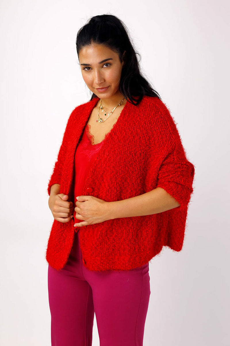 Red Wonder Crop Cardi - FINAL SALE